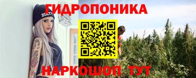 мяу мяу мука Кимры