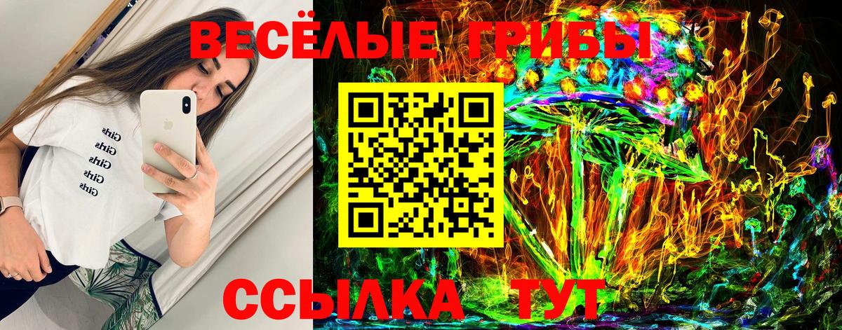 Псилоцибиновые грибы мухоморы Луховицы