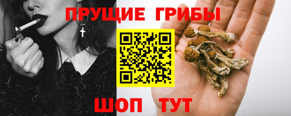 Галлюциногенные грибы ЛСД  Псилоцибиновые грибы GOLDEN TEACHER  Вход с VPN  Луховицы 